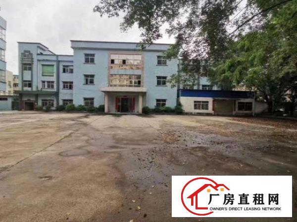  厚街原房东1500平方精装修吊顶地坪漆洁净车间