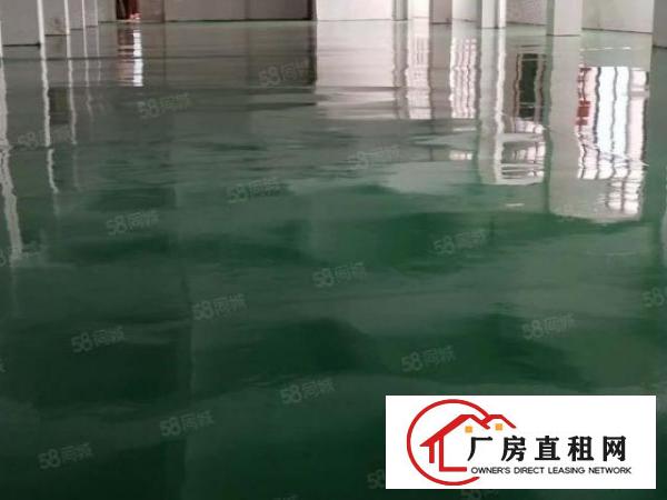  工业园厂房带装修地板漆厂房直租