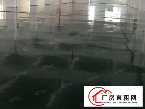  工业园厂房带装修地板漆厂房直租