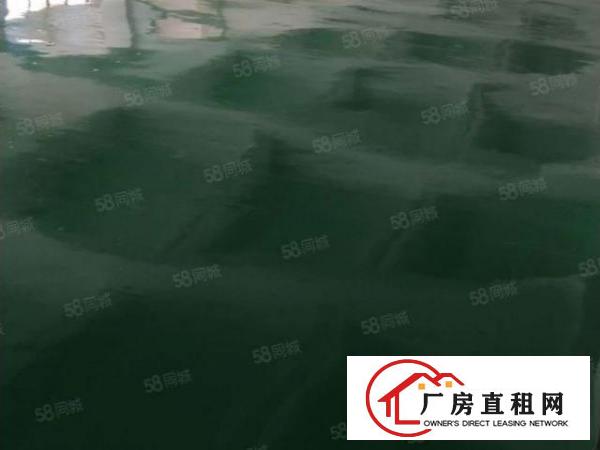  工业园厂房带装修地板漆厂房直租
