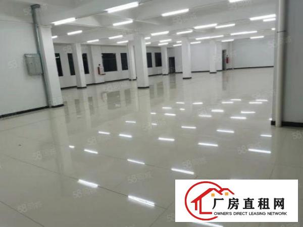  双岗新出3000地坪漆厂房带精装修办公室