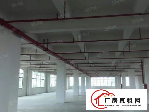  双岗新出3000地坪漆厂房带精装修办公室