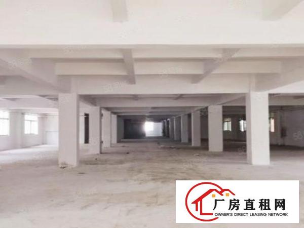  独门独院大小可分租证件齐全可办环评空地超大