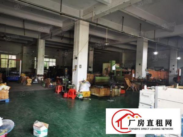  厚街主干道边上新出一楼1000平方高度5米超低价出租可做铺面