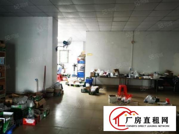  厚街主干道边上新出一楼1000平方高度5米超低价出租可做铺面