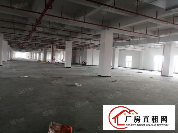  厚街下汴新出独门独院厂房3422平出租，交通方便，价格优惠
