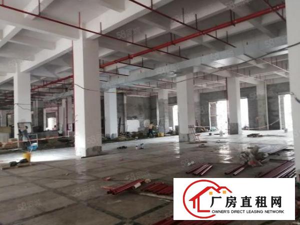 厚街下汴新出独门独院厂房3422平出租，交通方便，价格优惠