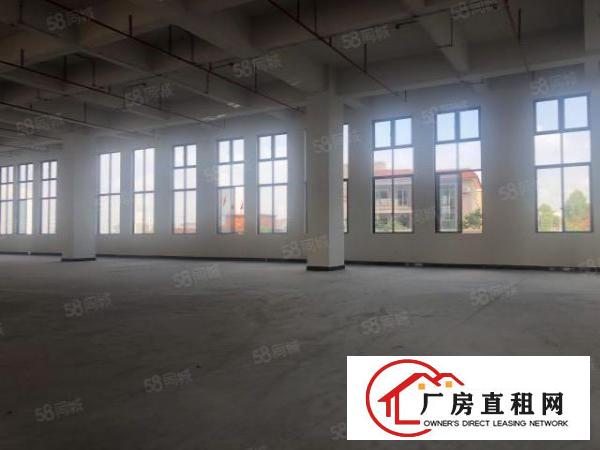  实图（全新工业4.0厂房）厚街楼上1670平方层高6米。