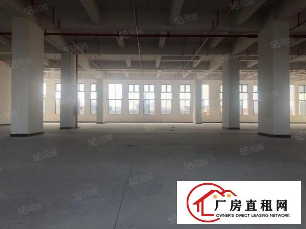  实图（全新工业4.0厂房）厚街楼上1670平方层高6米。