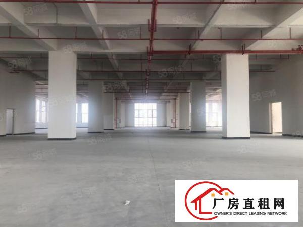  实图（全新工业4.0厂房）厚街楼上1670平方层高6米。
