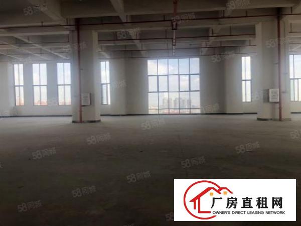  实图（全新工业4.0厂房）厚街楼上1670平方层高6米。