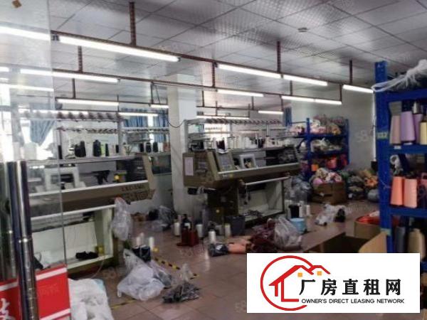  厚街涌口聚赢科技园1800平整层招租，可配套独栋办公楼