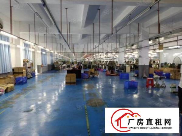  厚街涌口聚赢科技园1800平整层招租，可配套独栋办公楼