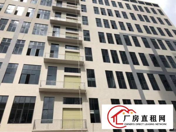  出租！厚街港口大道全新厂房招租，590平方，大小可分租