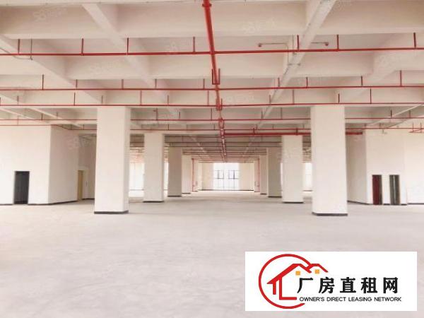  厚街大型科技园1000平米带红本装修政府补贴物业特价直租