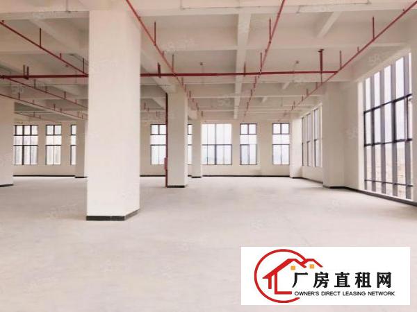  厚街大型科技园1000平米带红本装修政府补贴物业特价直租