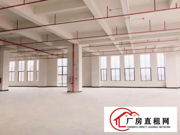  厚街大型科技园1000平米带红本装修政府补贴物业特价直租