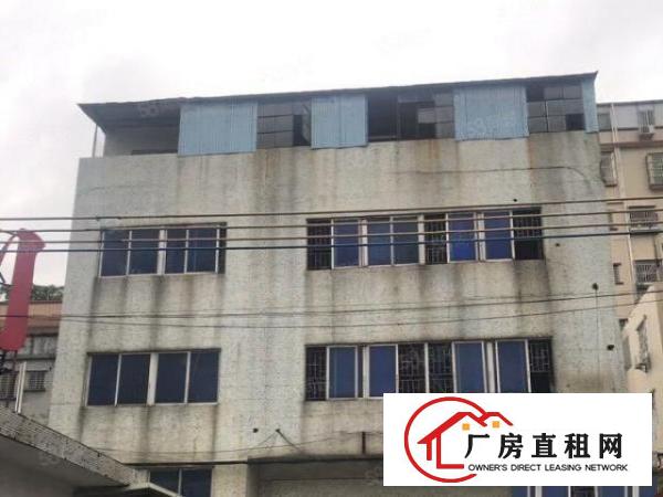  厚街沙田新出独门独院厂房1680平，价格优惠，交通方便