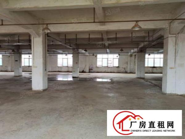  厚街新出花园式独门独院8000平独立厂房写字楼宿舍可整可分租