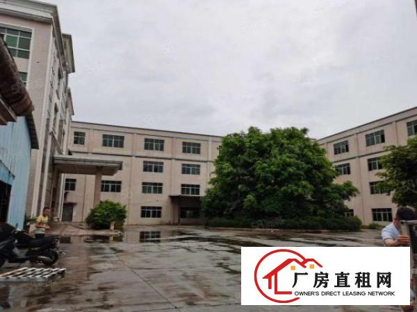  厚街新出花园式独门独院8000平独立厂房写字楼宿舍可整可分租