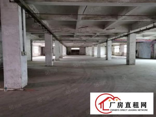  厚街新出花园式独门独院8000平独立厂房写字楼宿舍可整可分租