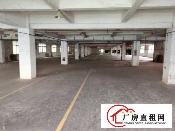  厚街新出花园式独门独院8000平独立厂房写字楼宿舍可整可分租