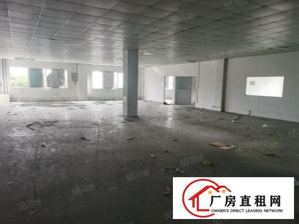  层高4.8米整层2580平方厂房仓库出租电梯到车间布局形象好