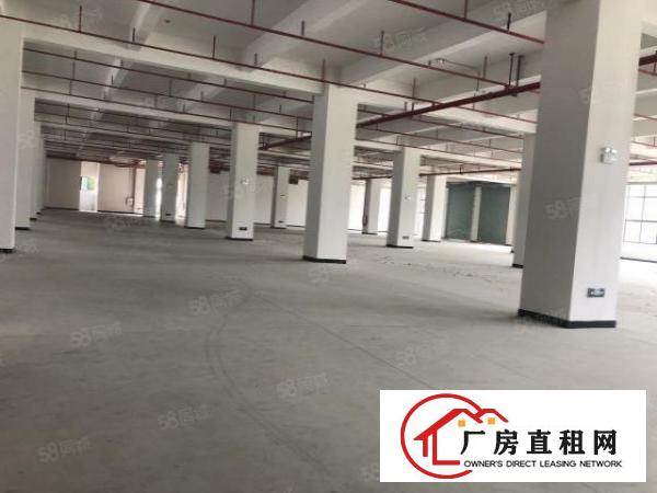  双岗全新重型厂房可办环评带卸货平台