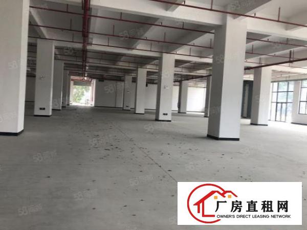  双岗全新重型厂房可办环评带卸货平台