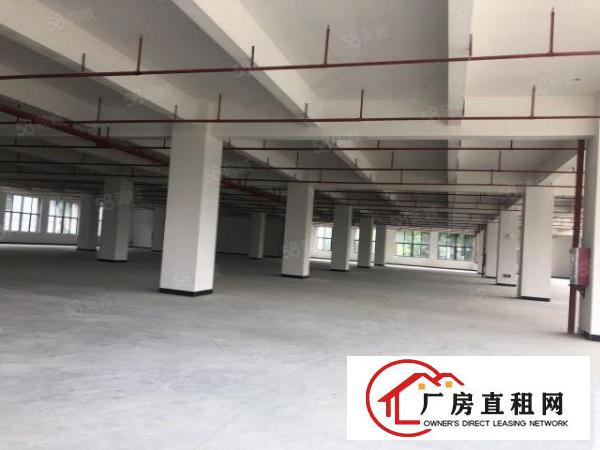  双岗全新重型厂房可办环评带卸货平台
