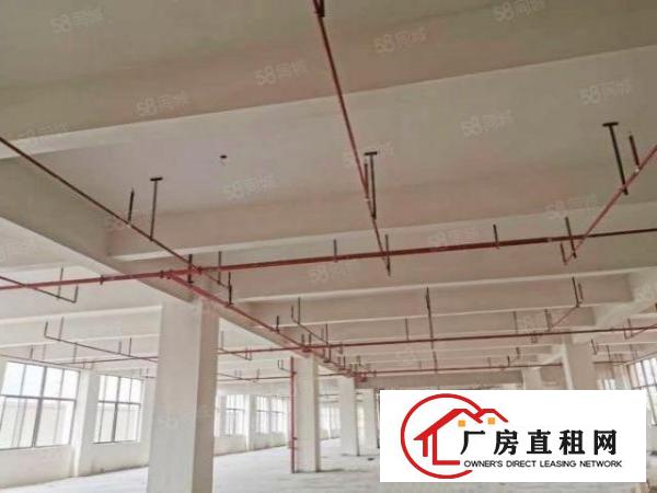  全新12万平带红本现成家具环评油房全套环评设备