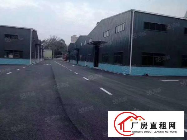  全新独院单一层分租厂房
