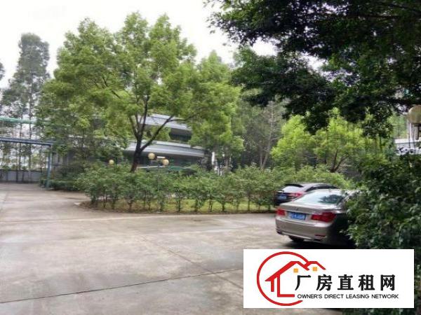  原房东直租1350实用率