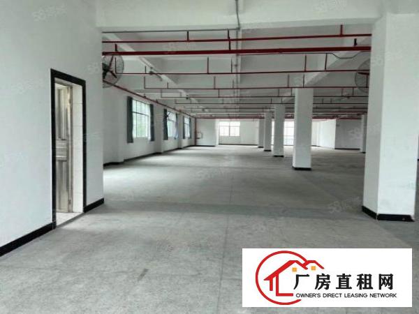  原房东直租1350实用率