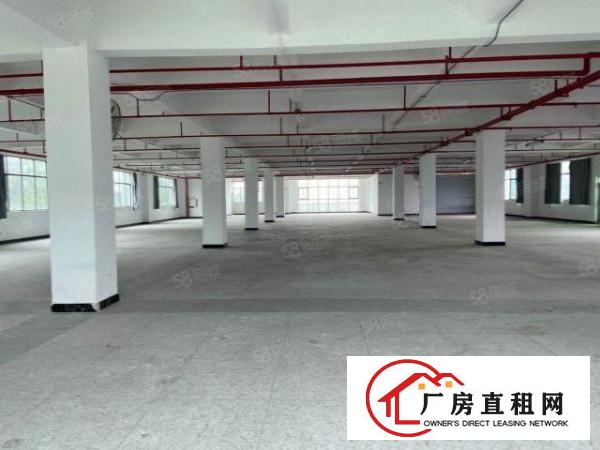  原房东直租1350实用率