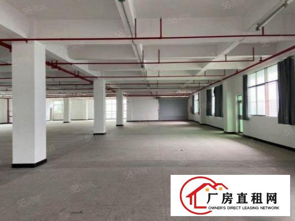  原房东直租1350实用率