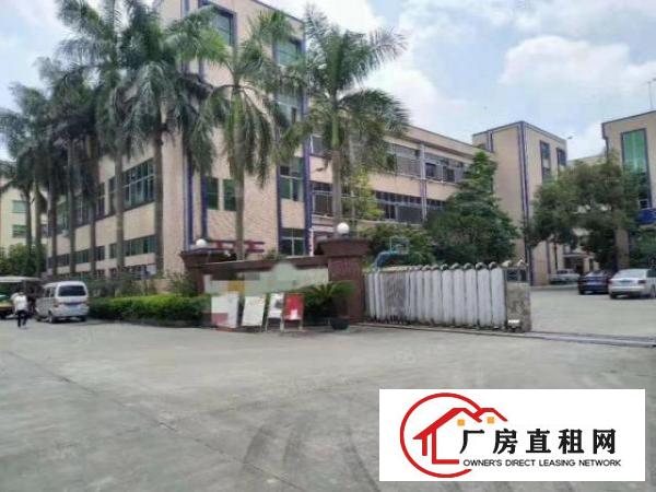  厂房出租桥头新出原房东独门独院分租可整租形象好面积大空地大！
