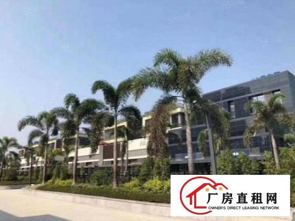  厂房出租桥头新出原房东独门独院分租可整租形象好面积大空地大！