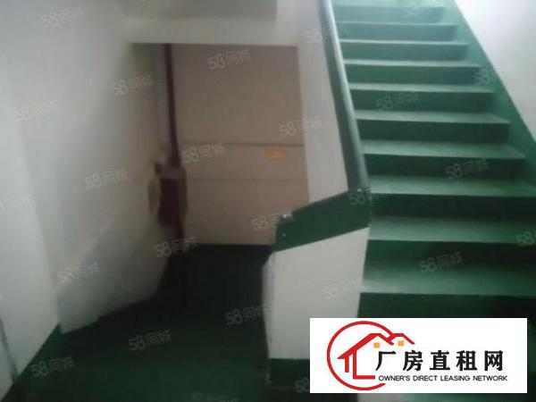  厂房出租桥头新出原房东独门独院分租可整租形象好面积大空地大！
