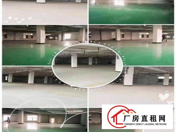  厂房出租桥头新出原房东独门独院分租可整租形象好面积大空地大！