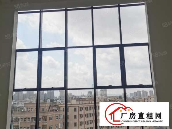 厚街全新高新产业园证件齐全可以申请补贴政府扶持工业园大小可分