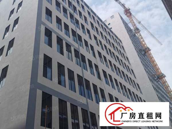  厚街全新高新产业园证件齐全可以申请补贴政府扶持工业园大小可分