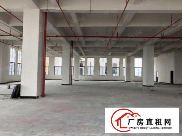  厚街全新高新产业园证件齐全可以申请补贴政府扶持工业园大小可分