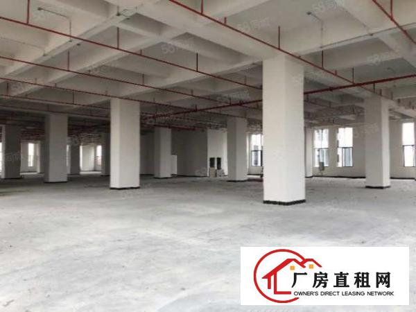  厚街全新高新产业园证件齐全可以申请补贴政府扶持工业园大小可分