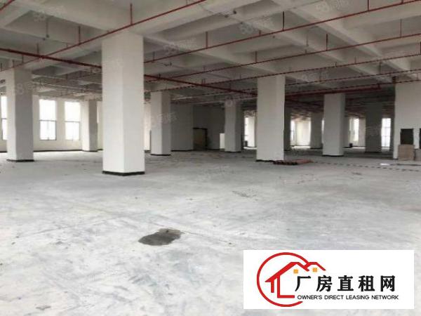  厚街全新高新产业园证件齐全可以申请补贴政府扶持工业园大小可分