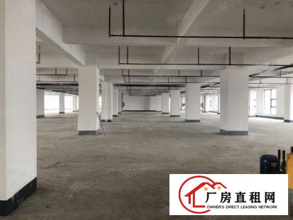  厚街双岗上环元洲路3500平米厂房新空出，可分租形象佳
