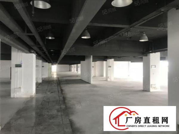  厚街双岗上环元洲路3500平米厂房新空出，可分租形象佳