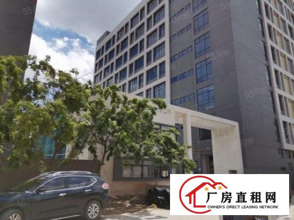  全新厂房首层高7米带牛角位园区有独立综合楼带消防喷淋