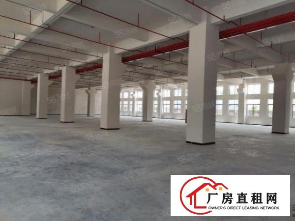  全新厂房首层高7米带牛角位园区有独立综合楼带消防喷淋