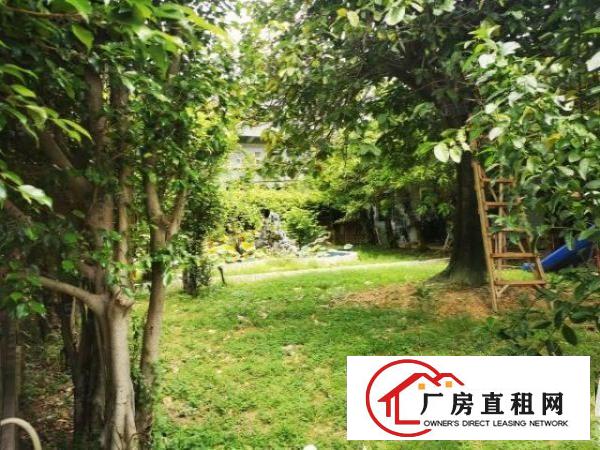  厚街新出适合做贸易原房东独院厂房两层5583平方宿舍1400